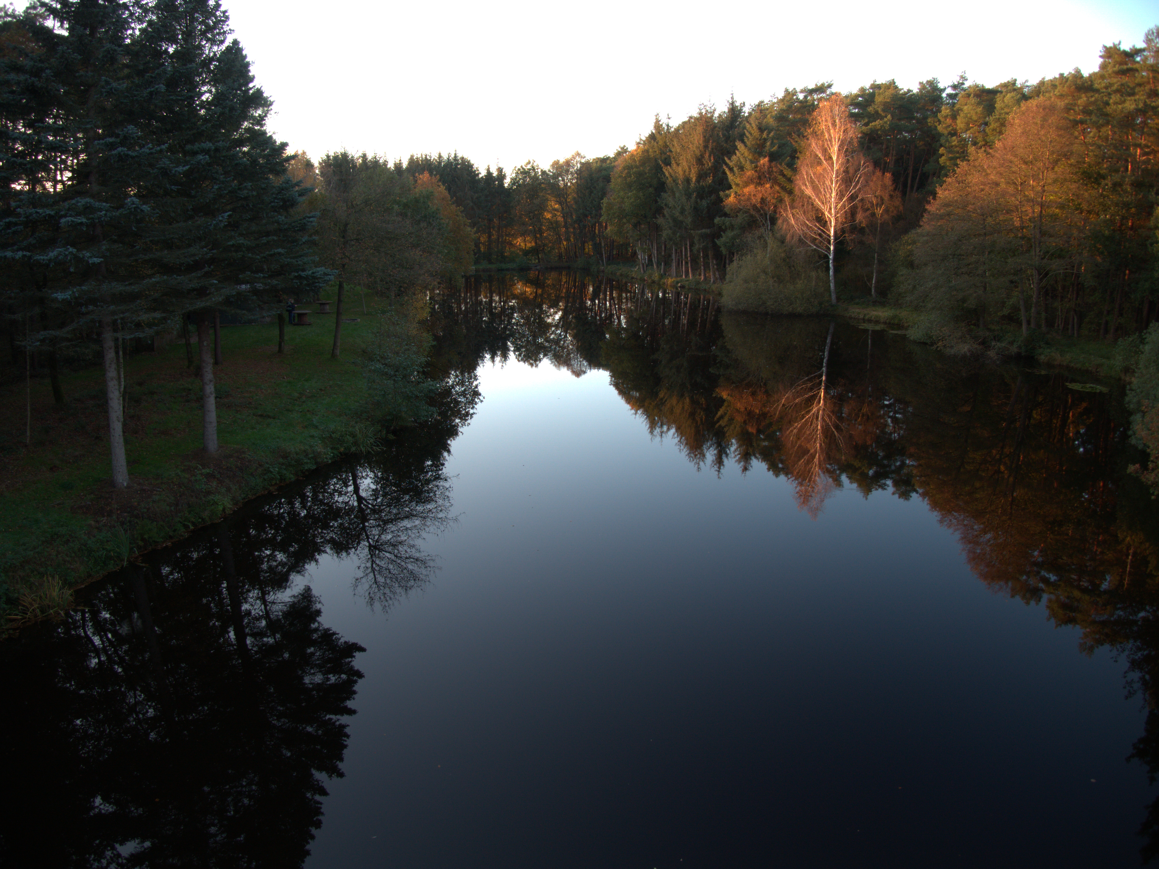 Waldteich Brauel